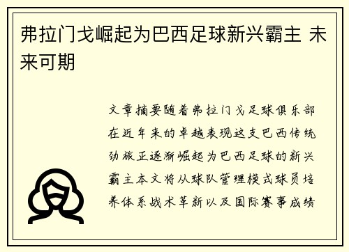 弗拉门戈崛起为巴西足球新兴霸主 未来可期